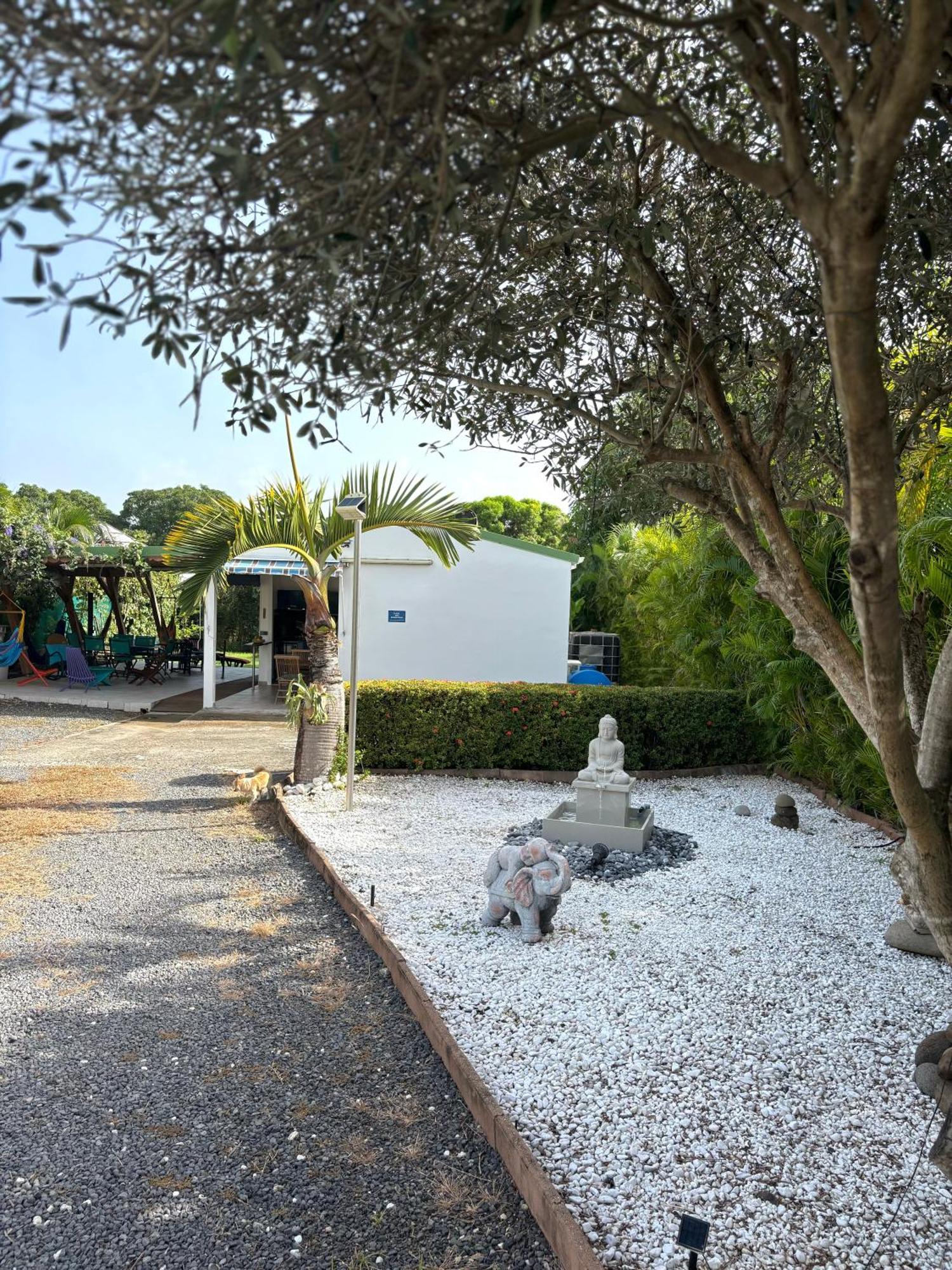 Gite Mabouya - Hamak, Piscine, Jardin Villa Anse-Bertrand Kültér fotó